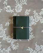 SA Pocket Journal