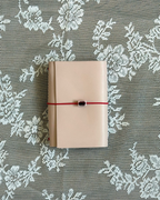 SA Pocket Journal